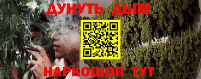 шишки Новозыбков