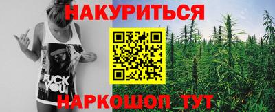 шишки Новозыбков