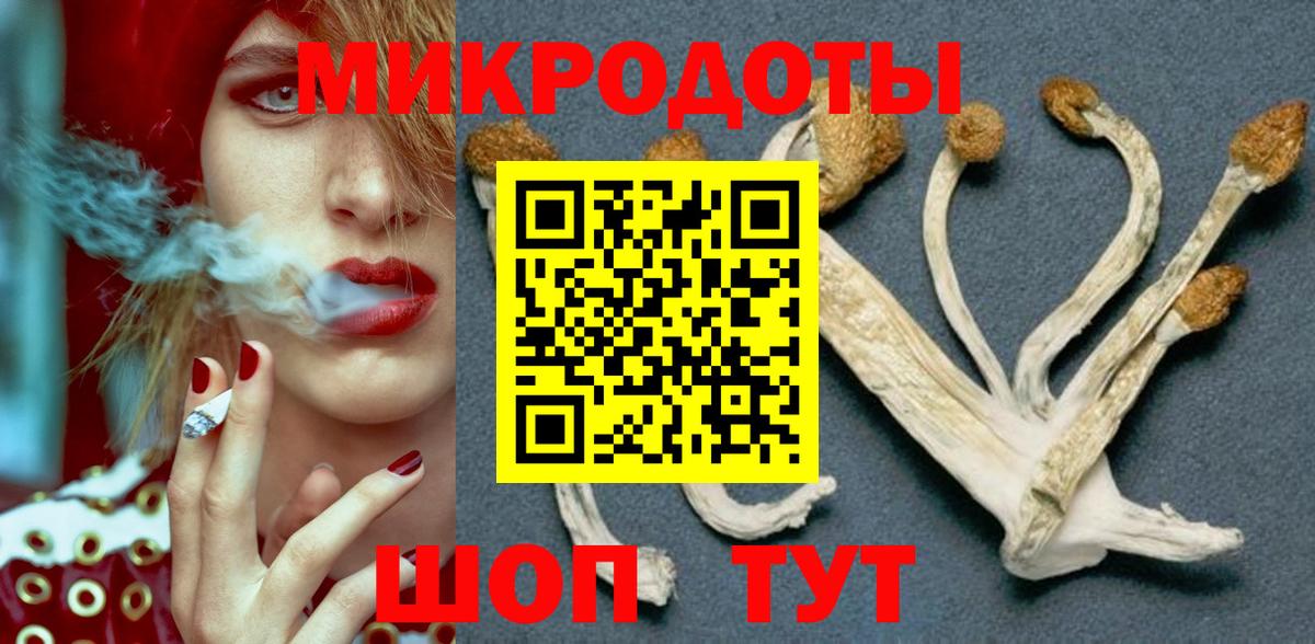 Тосно  Псилоцибиновые грибы ЛСД  Галлюциногенные грибы мицелий  Вход с VPN 