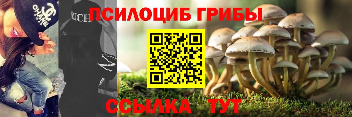 Псилоцибиновые грибы мухоморы Тосно